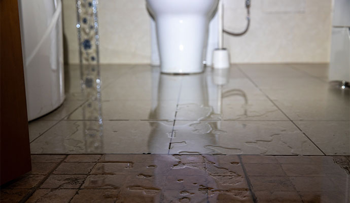 Water overflow from toilet