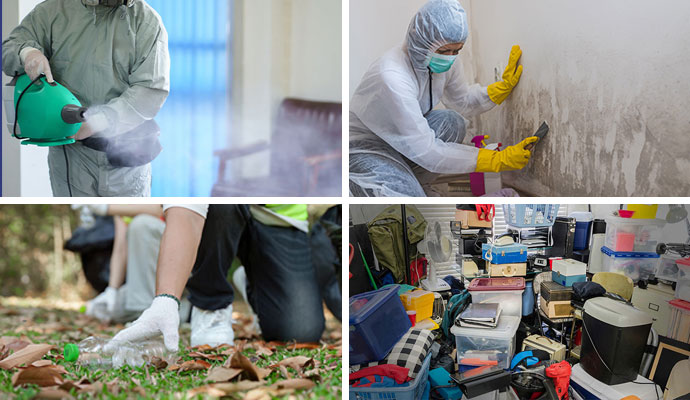 Collage of odor, mold, community, and hoarding cleanup services