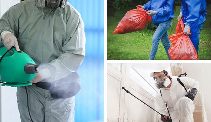 Collage of odor removal, community cleanup, and mold remediation service