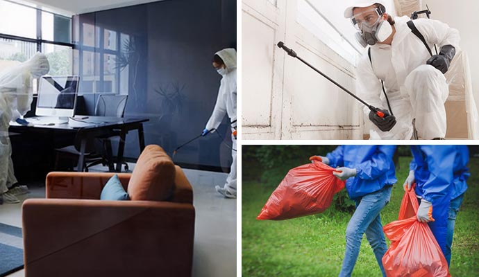 Collage of disinfecting office, residential setting and community-cleanup service