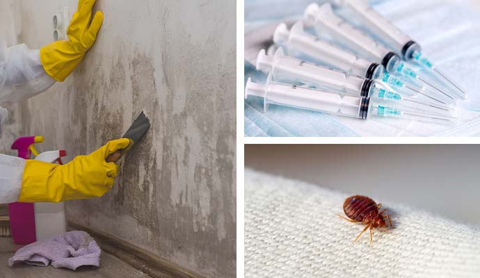 Collage showing mold cleanup, discarded needles, and bed bug concerns in hotel rooms