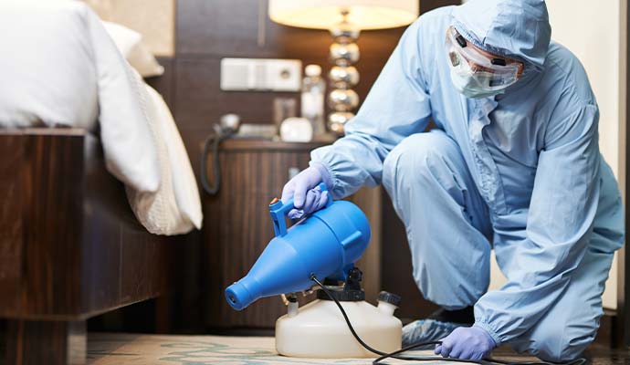 Technician fogging carpet under bed with fogger machine