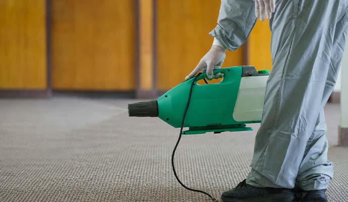 Technician spraying deodorizing fog over carpet floor