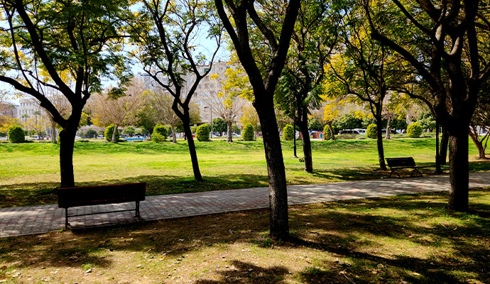 A cleaned community area