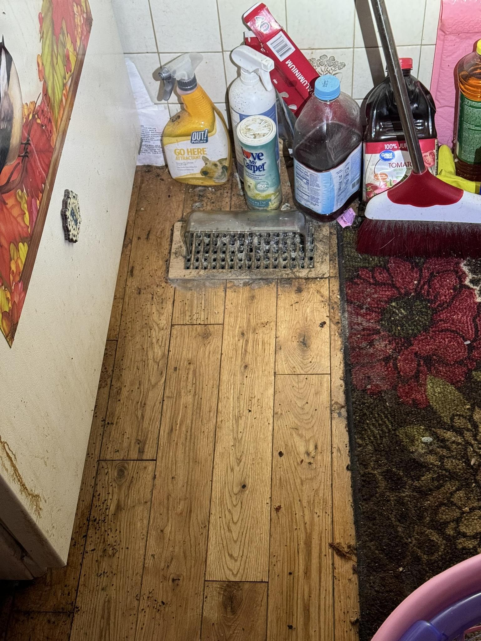 Pet biohazard debris and contaminated floor register undergoing deep cleaning and antimicrobial sanitisation.
