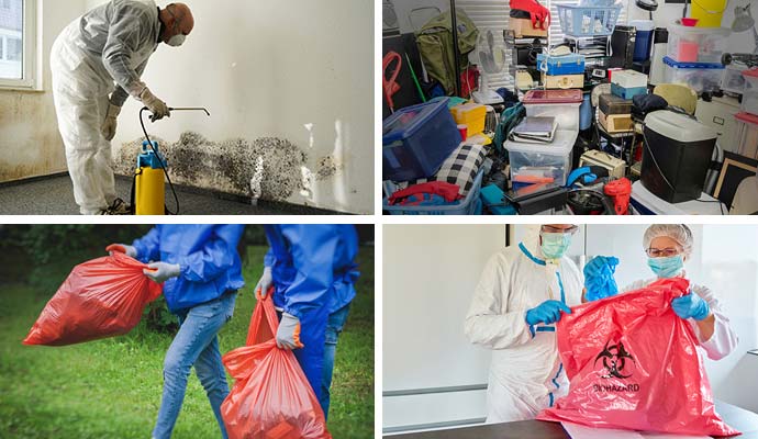 Mold cleanup service, hoarding scene and biohazard cleanup service