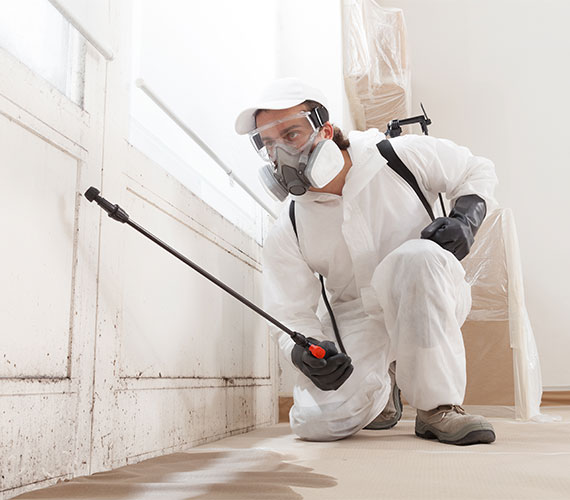 A professional spraying on molded wall