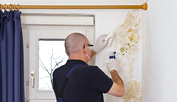 Person spraying mold remediation treatment on wall